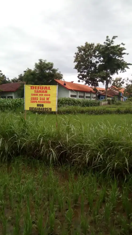 Dijual tanah SHM 400 jt (nego)