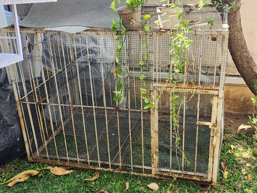 Kandang Anjing Besar Bahan Besi