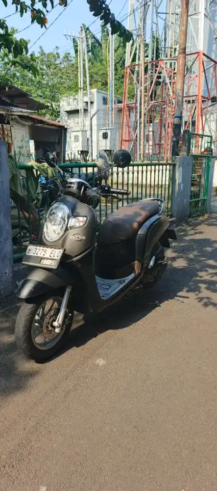 Scoopy stylish 2017