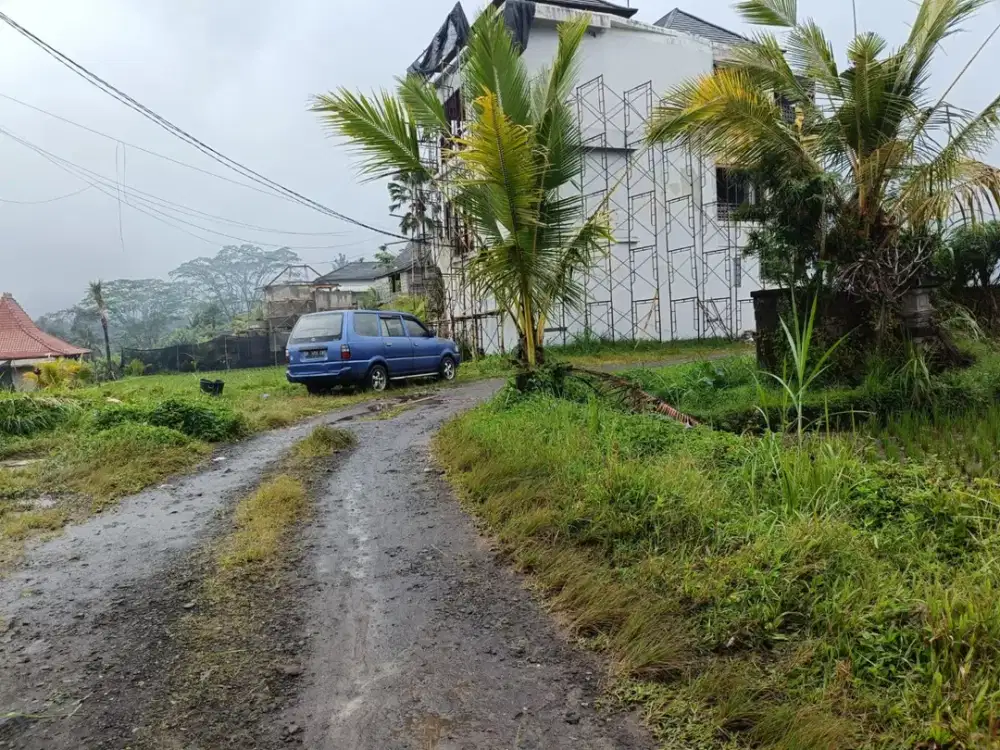 Tanah kavling besar 6,6 Hektar di Payangan, Ubud