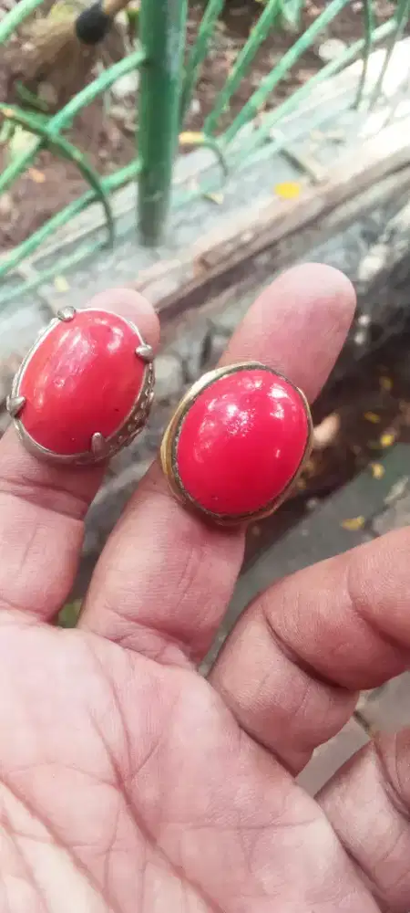 Cincin batu marjan