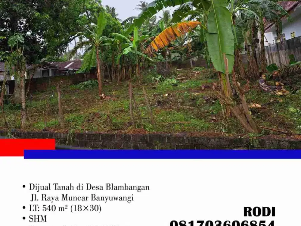 Dijual Tanah di Desa Blambangan Jl. Raya Muncar Banyuwangi