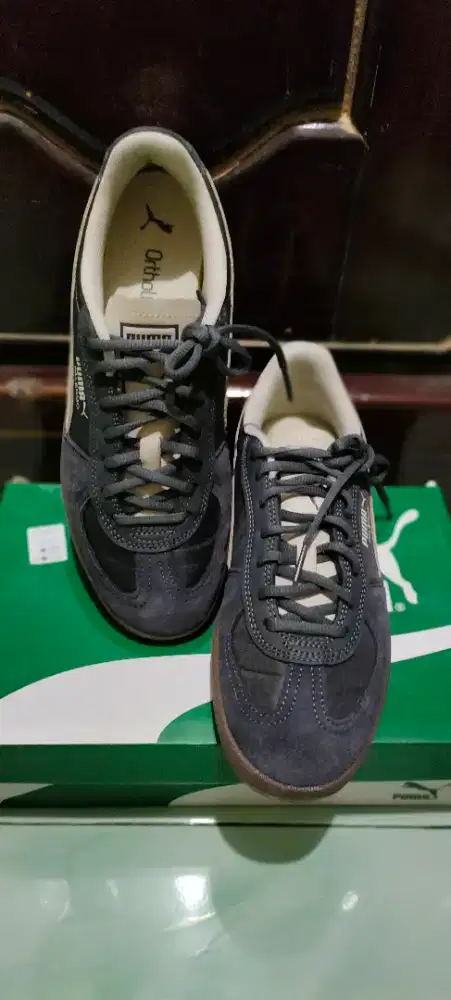 Puma palermo pop