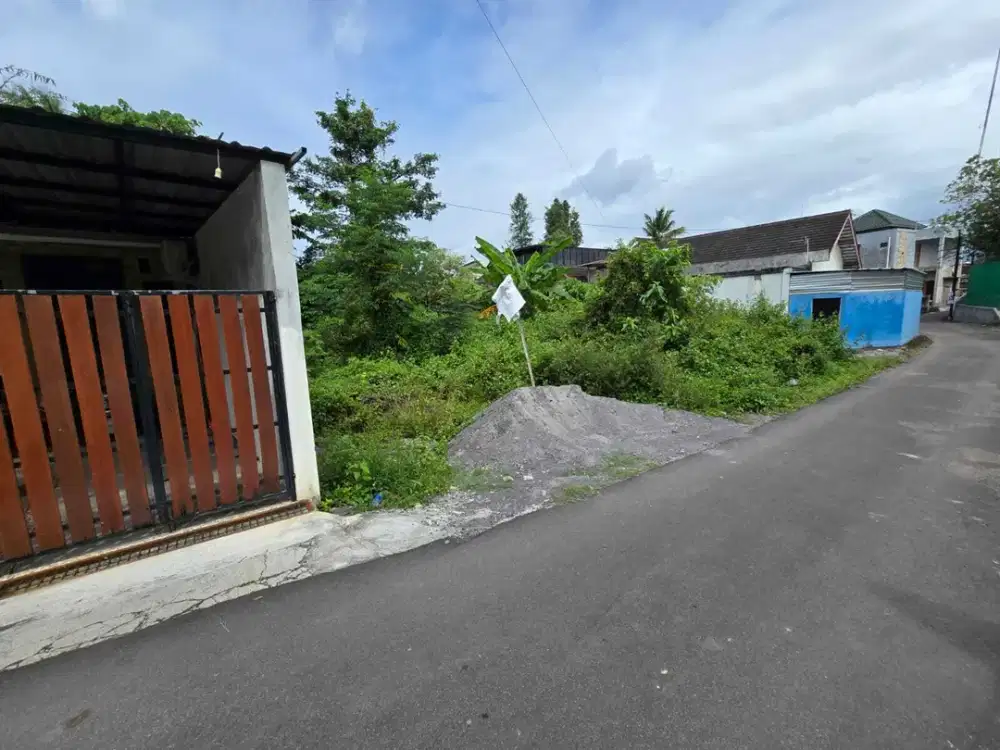 Tanah Pandowoharjo; Dekat Jejamuran