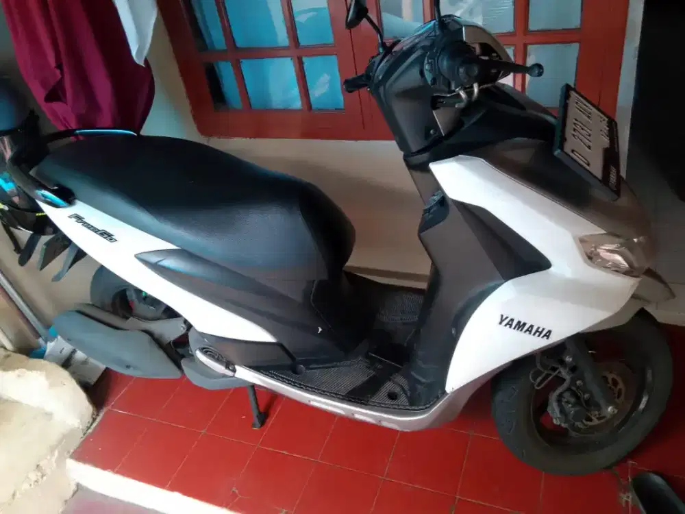 Dijual freego tahun 2018