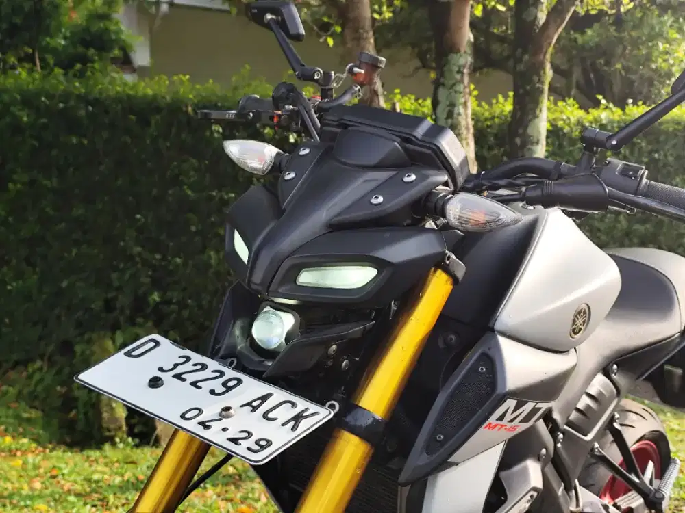 Yamaha MT15 2019