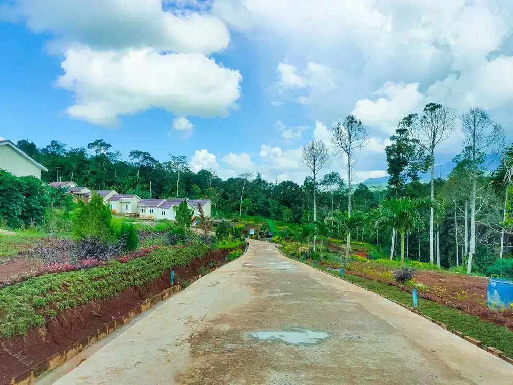 KAVLING DENGAN FASILITAS TERLENGKAP LOKASI DEKAT DENGAN KAMPUS