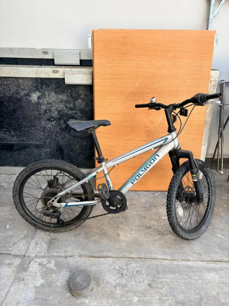 Sepeda anak Polygon