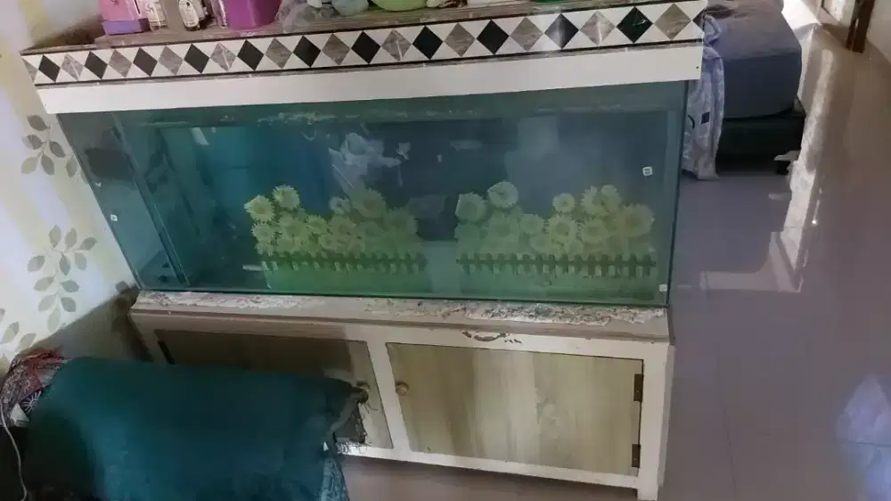 Aquarium Ikan dan Rak Meja
