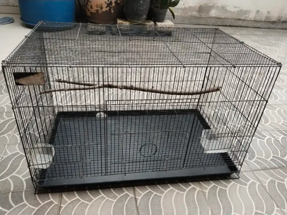 Kandang besi kotak jumbo