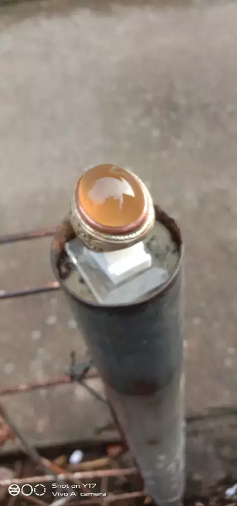 Batu anggur kura solar Baturaja