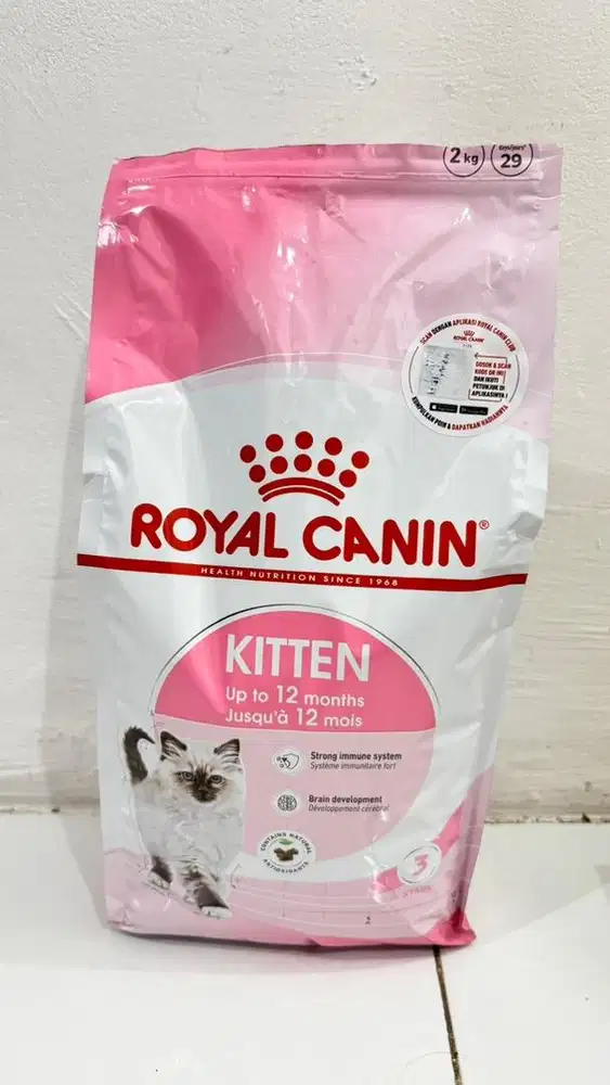 Royal Canin Kitten