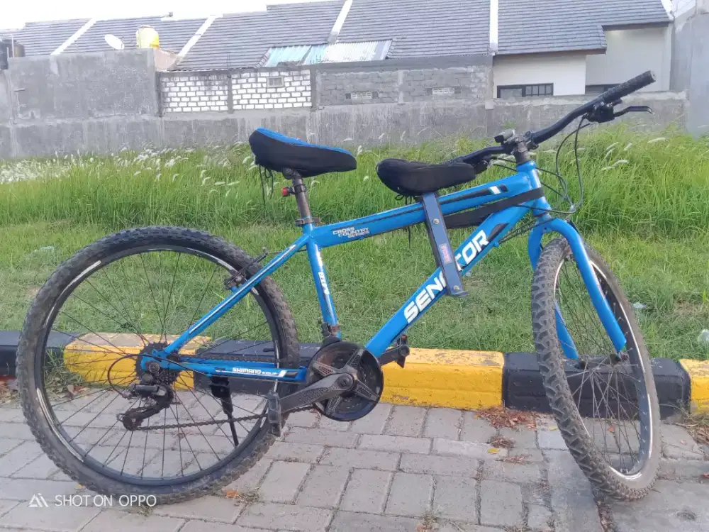 Sepeda Senator Mtb 26