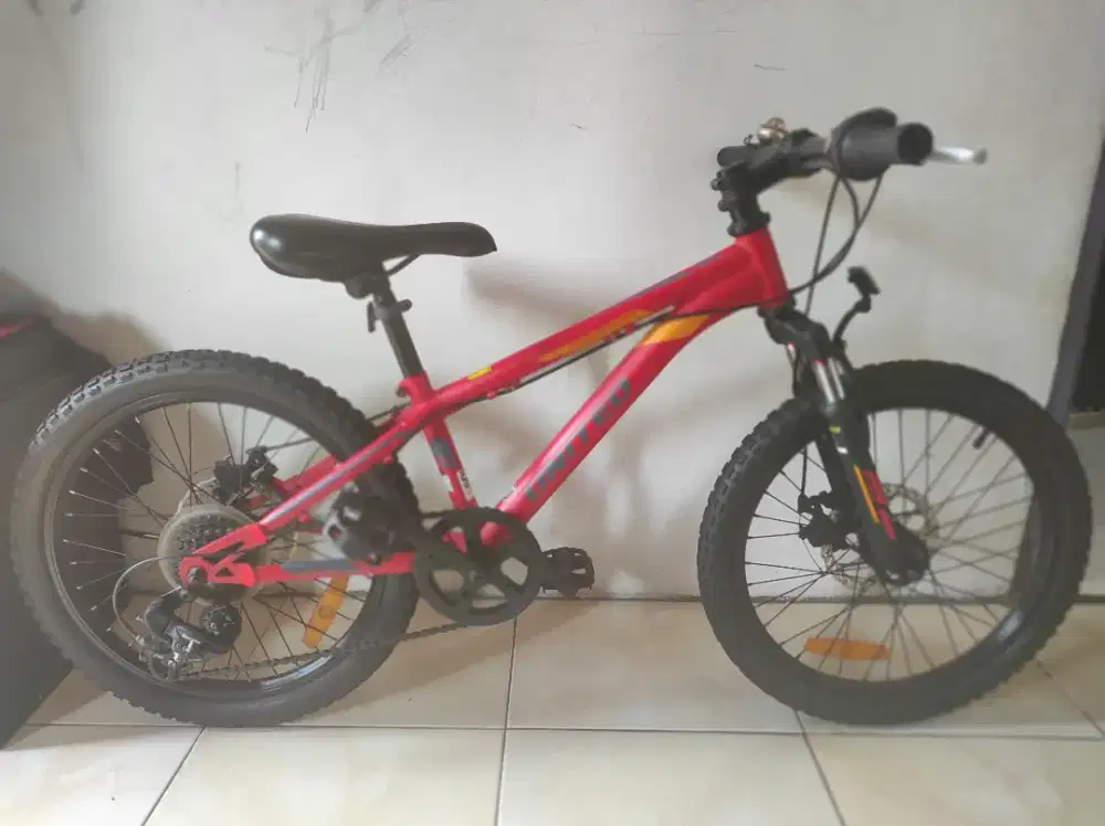 MTB anak united monanza 20