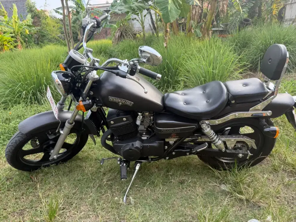 Benelli Patagonian Eagle 250