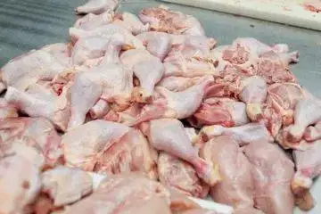 Jaga Kios Ayam Potong