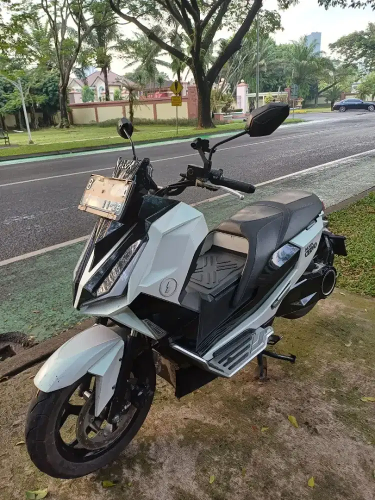 Alva Cervo tahun 2023