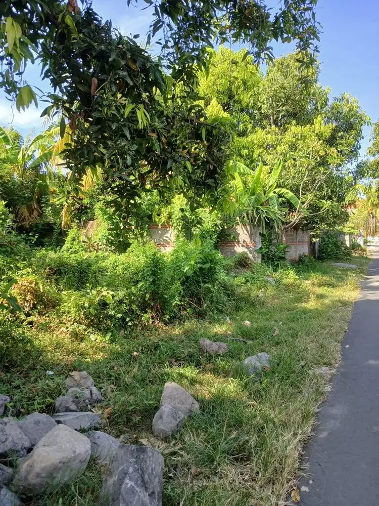 Dijual Tanah Daerah Singaraja