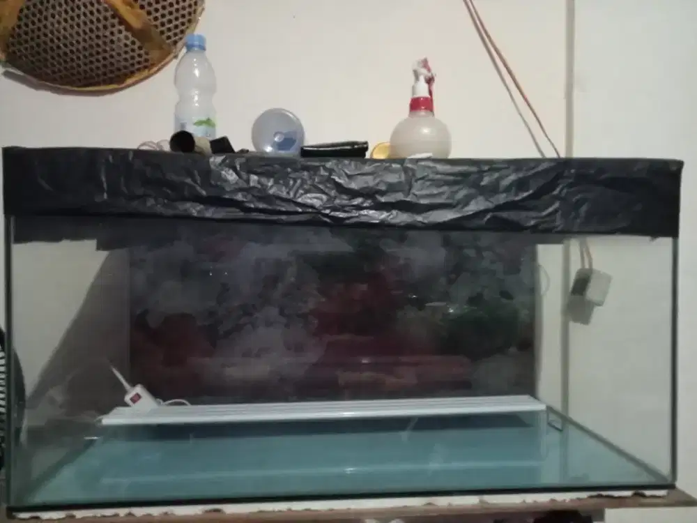 Jual aquarium ikan