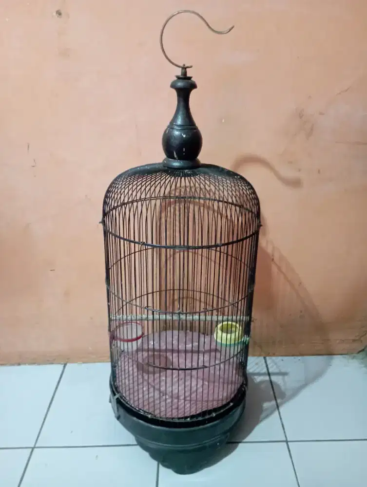 Kandang burung lovebird pintu tengah