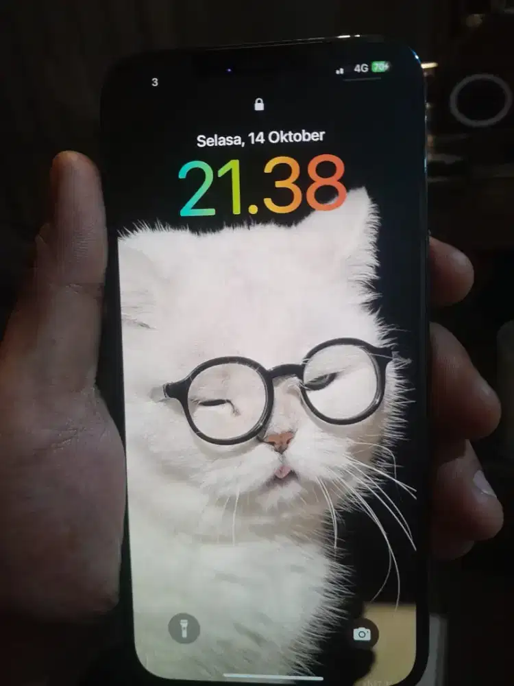 Iphone 12 promax