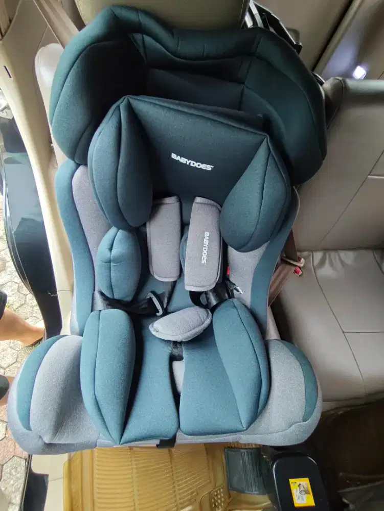 Carseat babydoes driver