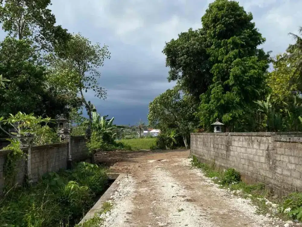 tanah siap bangun yg terletak di Kedungu