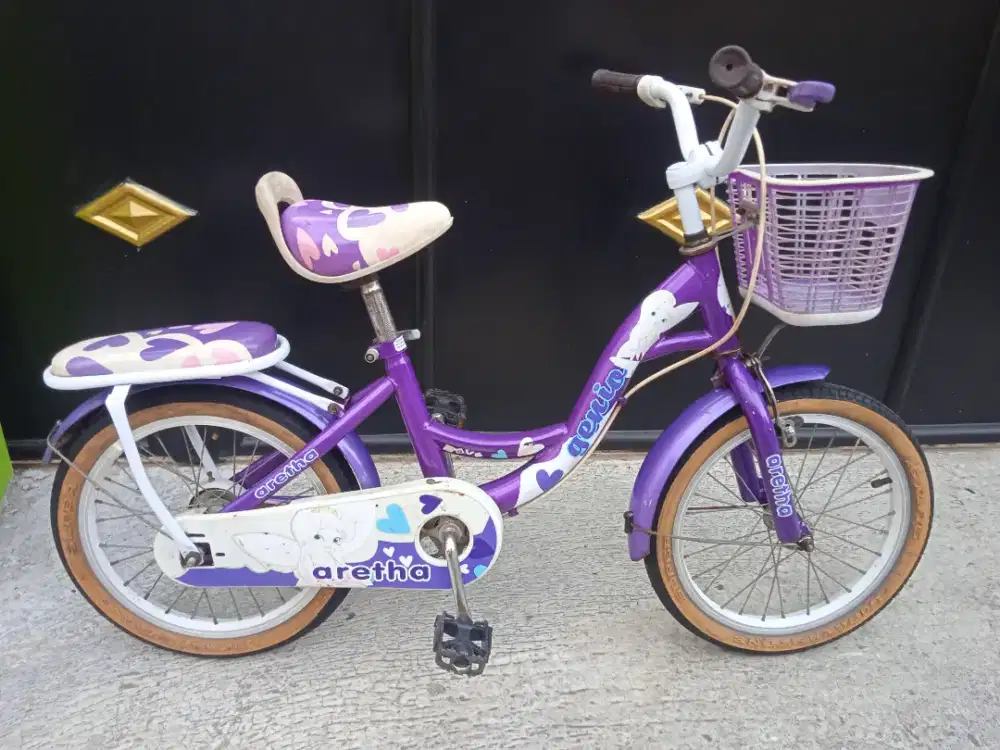 Sepeda anak genio 16