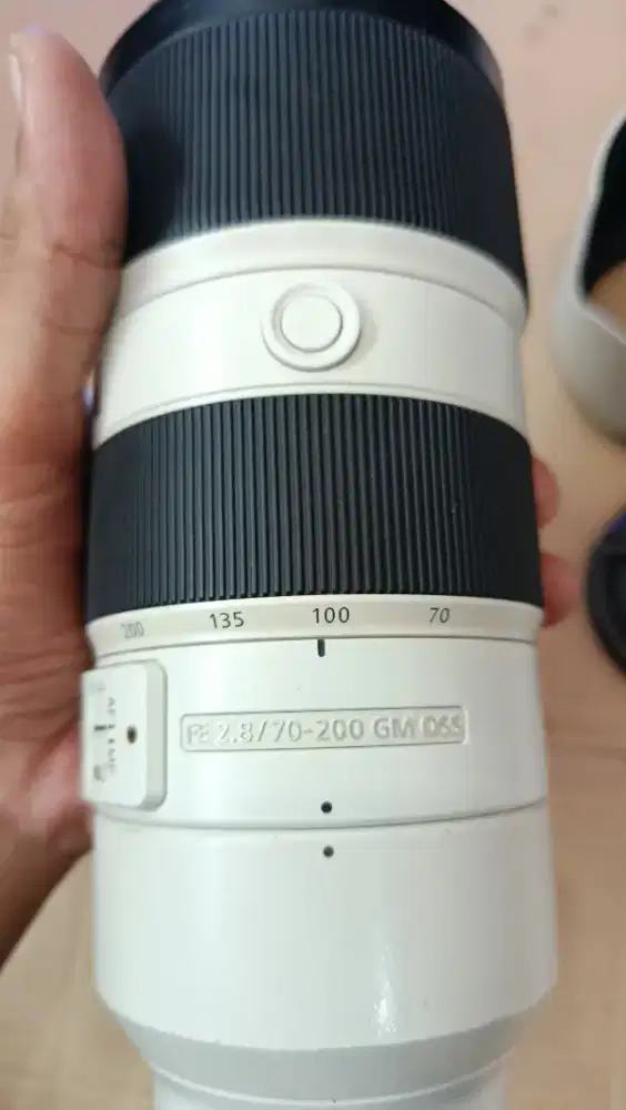 Sony FE 2.8 70-200 GM OSS