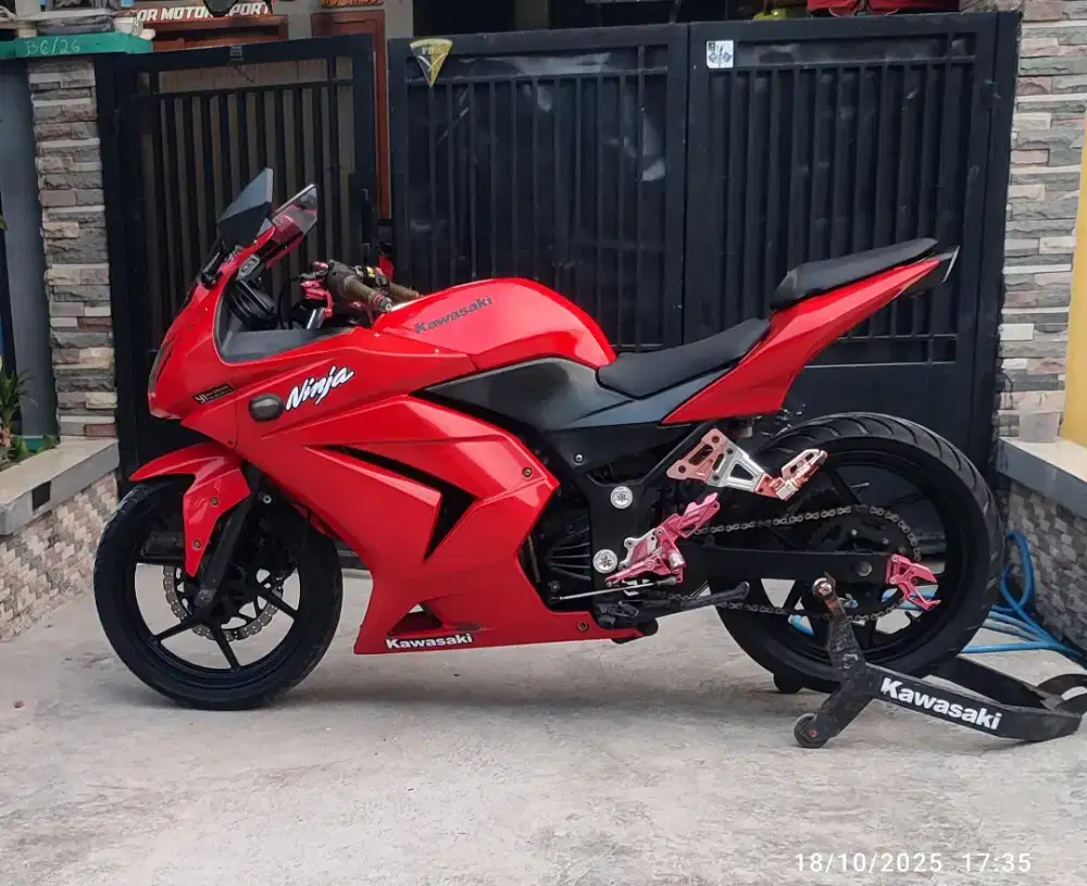 Kawasaki Ninja 250