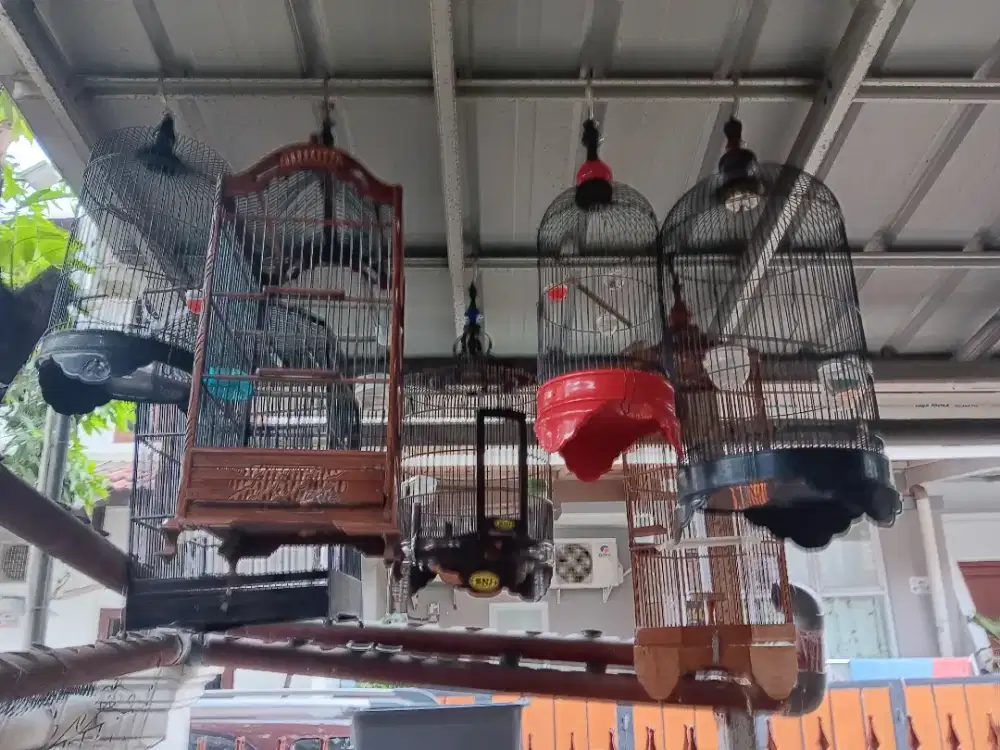 7 kandang harga saatuan 100rb kalo minat wa aja ya gan pilih yg  mana