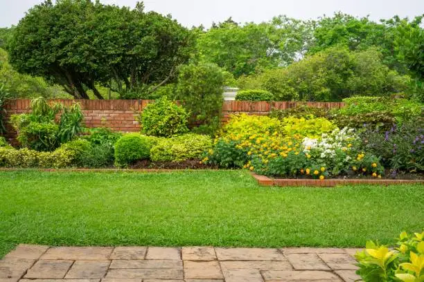 KURDI GARDEN  24