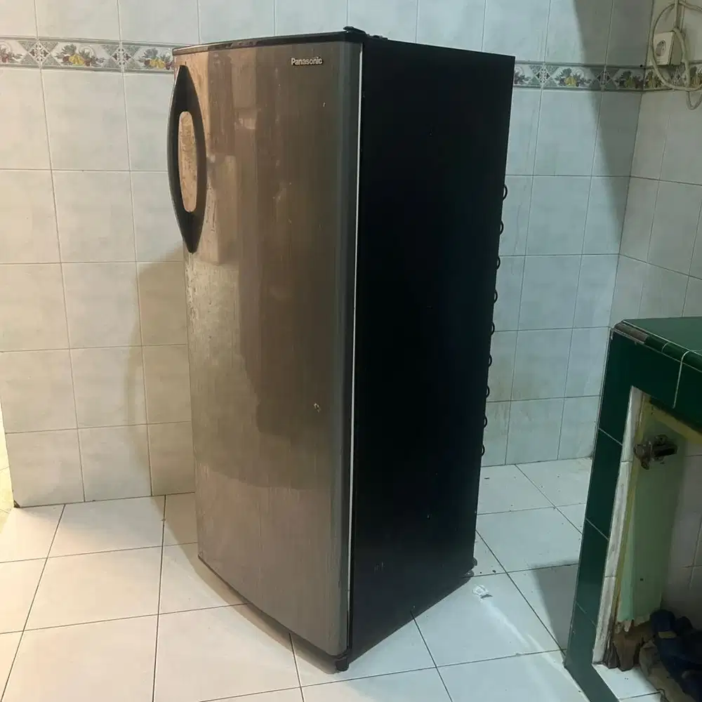 Freezer Panasonic NR-S16G