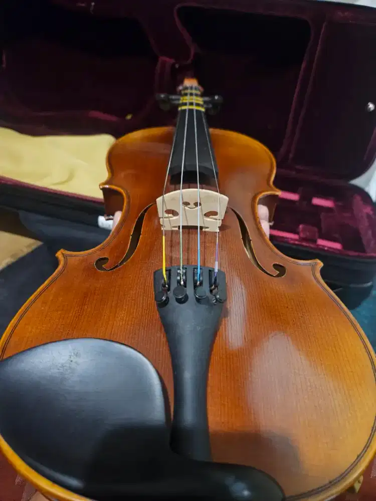 Biola / Violin Scott Cao 017E 4/4