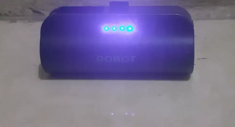 Power Bank Apple