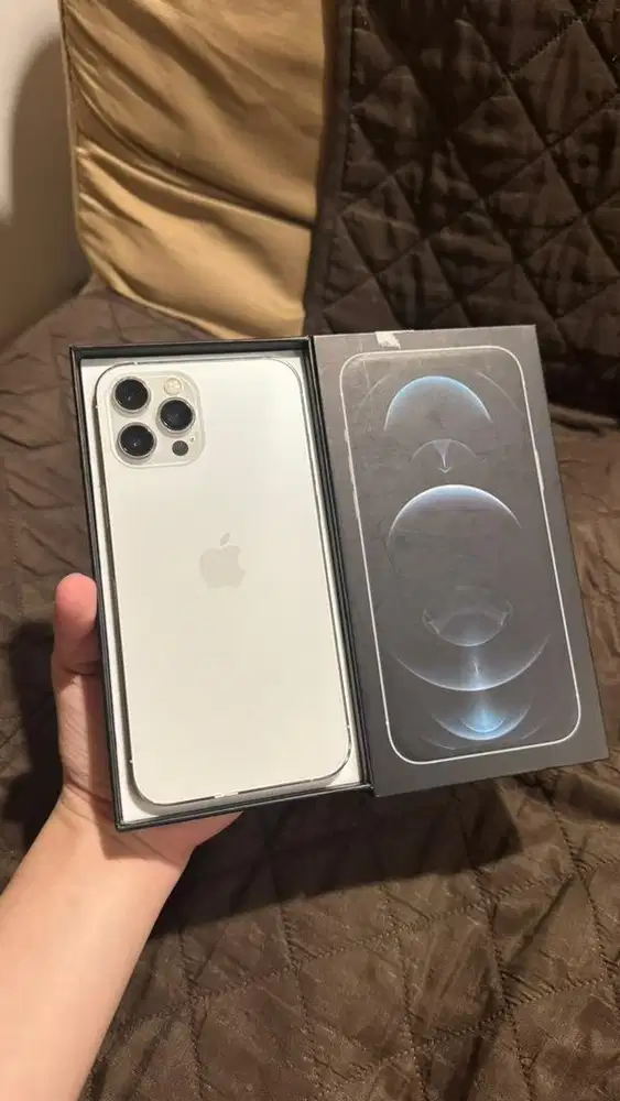 iphone 12 pro max 512 beacukai