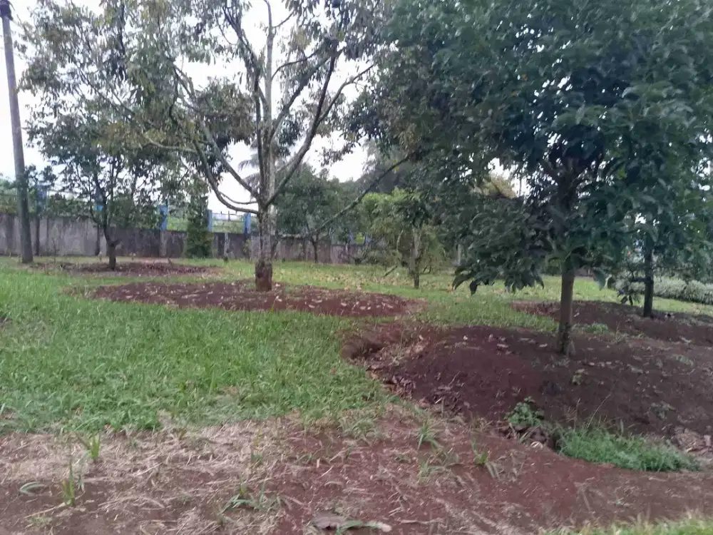 di jual tanah kebun di sukabumi