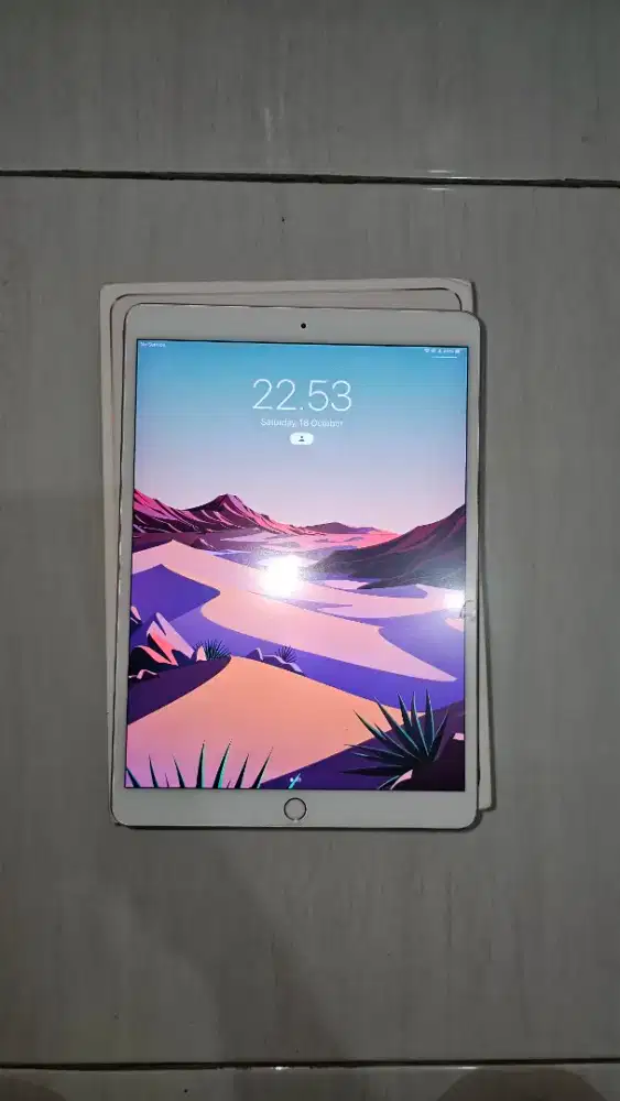 IPAD PRO 10.5 inch 256gb Celluler