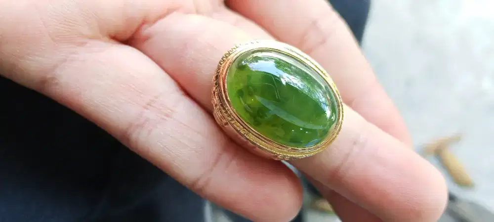 indocrase Lumut Kumbang jati