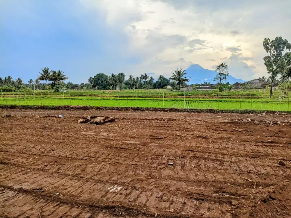 3 Jtan/m Area Palagan 5 Menit RS PKU Sleman Free Desain Rumah
