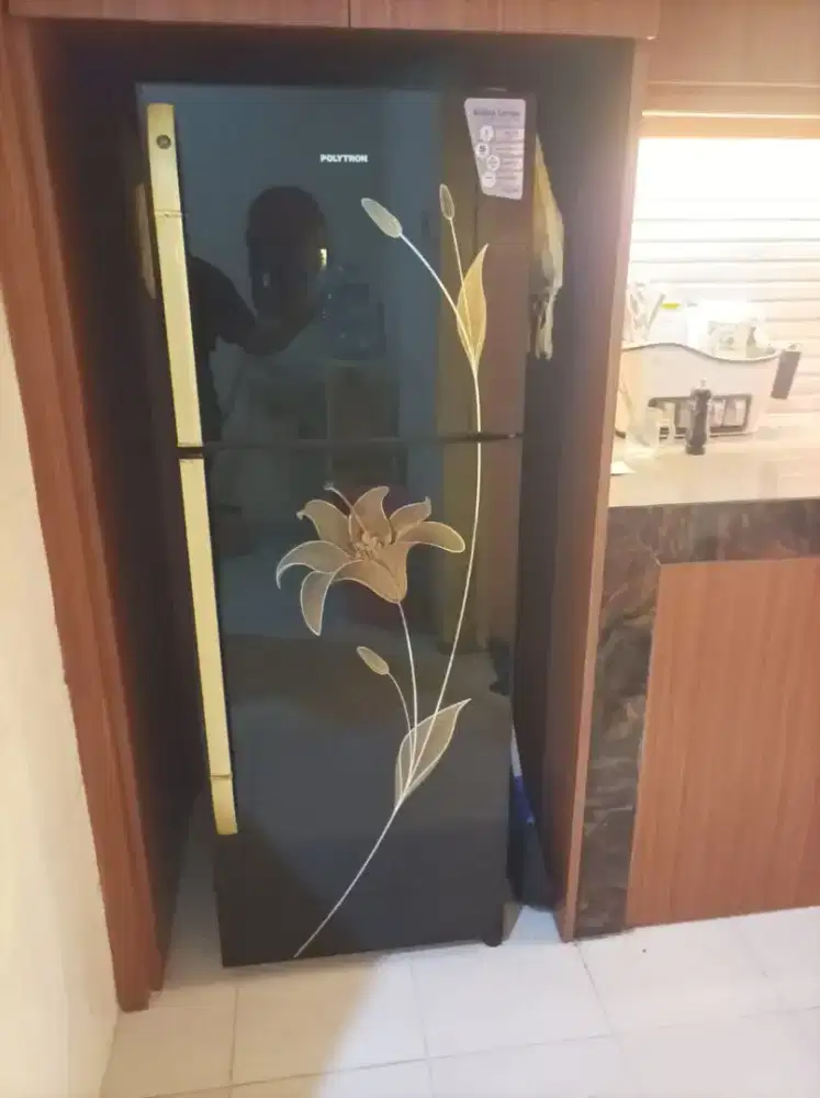 Kulkas 2 Pintu Polytron