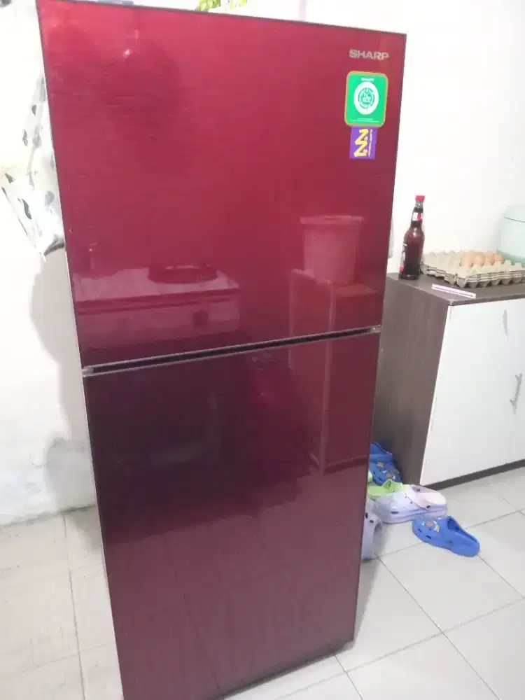 Kulkas 2 Pintu Sharp (Halal)
