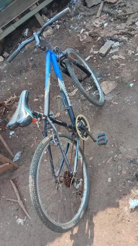 Mtb 26 jatiwarna