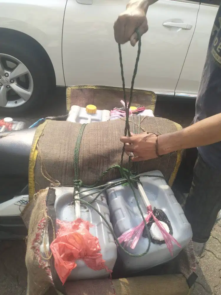 Lowongan Kurir Pick-Up Minyak Jelantah