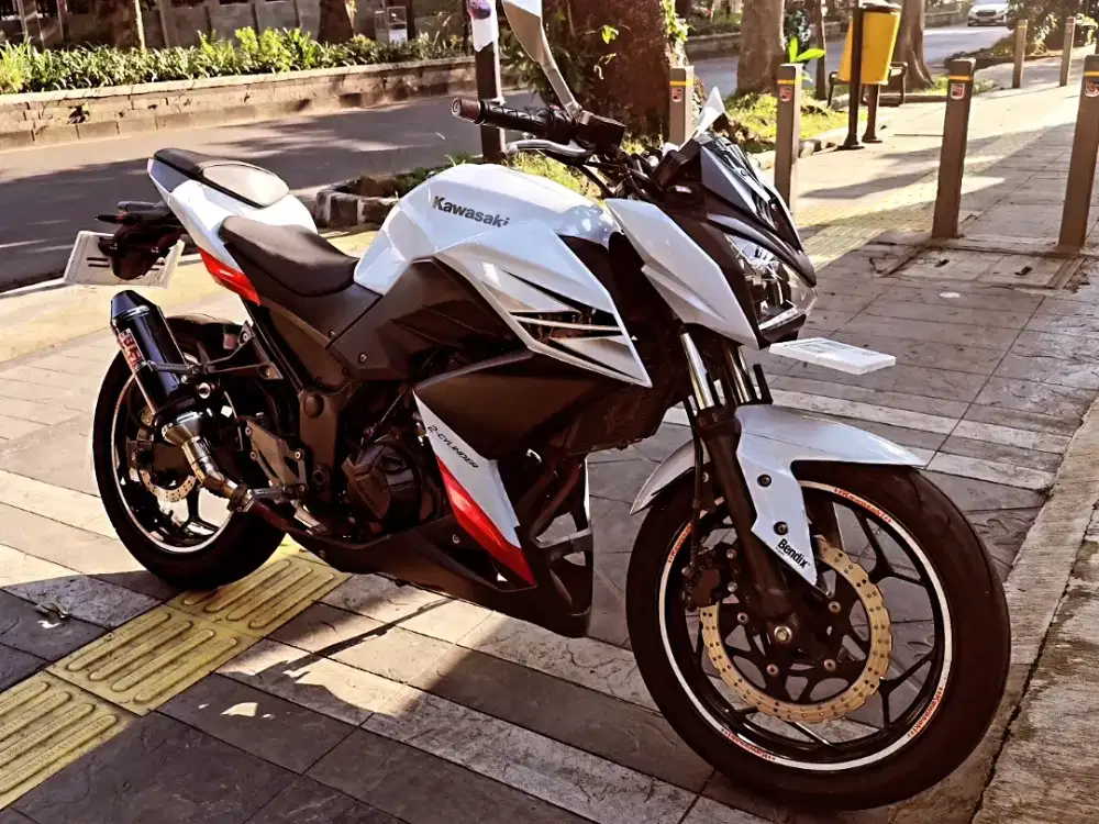 Kawasaki Z250 (ninja naked) 2 silinder