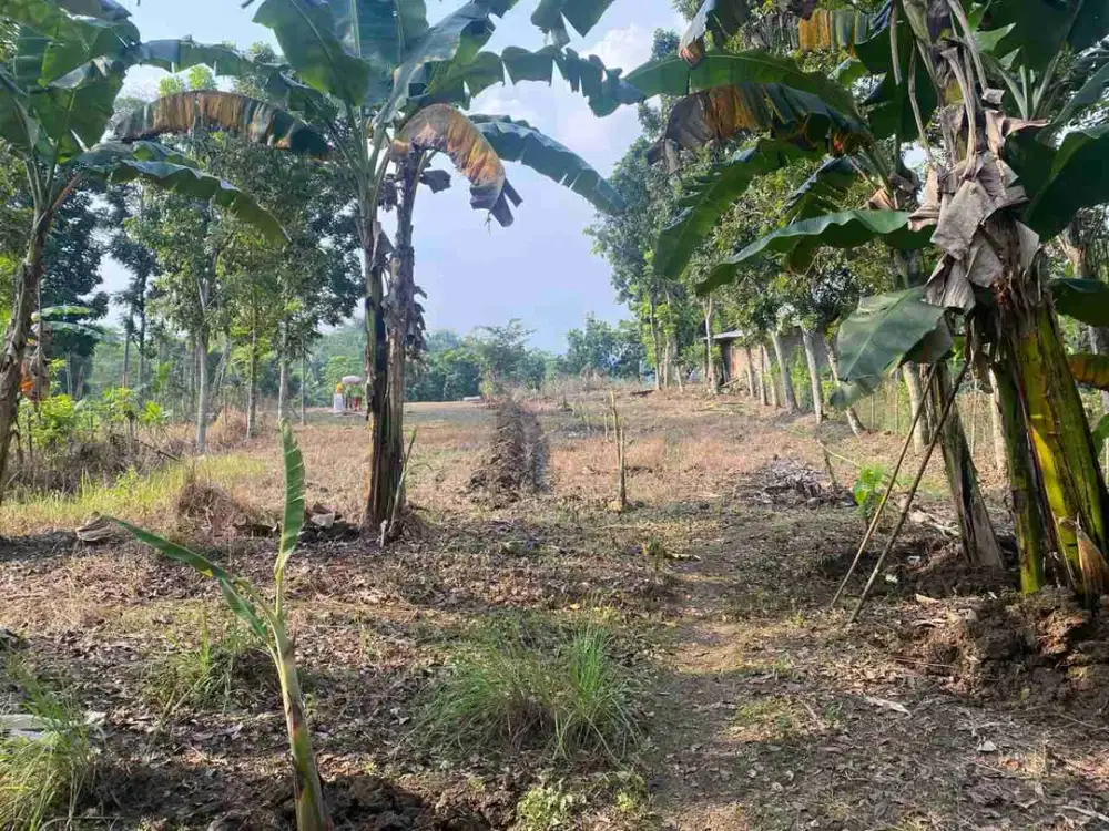 di jual tanah di jln TMMD melati sodong klapanunggal
