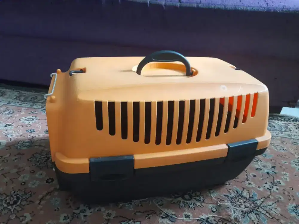 Di Jual Box kucing