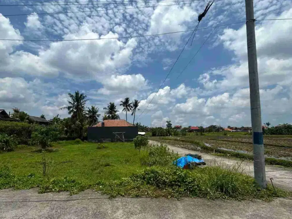 Tanah GLOBAL 2 are di Kediri BR. Panti