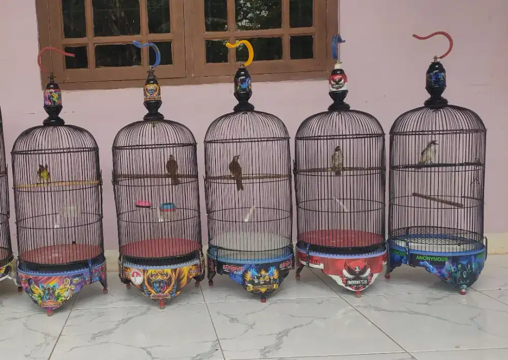 Trucukan 5 ekor