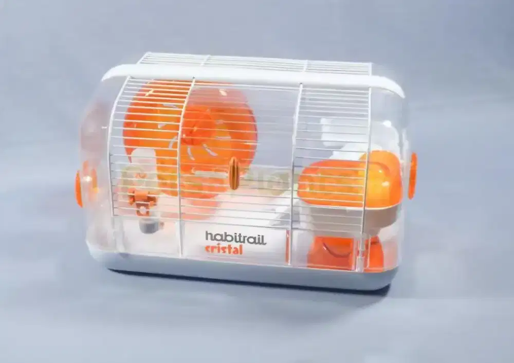 KANDANG HAMSTER